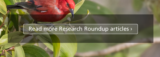Button graphic with text, "Read more Research Roundup articles"