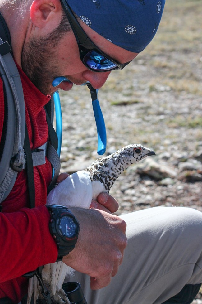 Close up of person with ptarmigan in hand