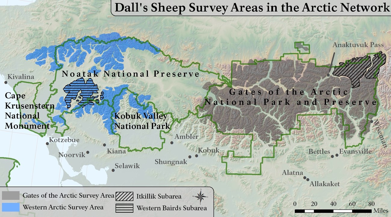 Survey areas in ARCN A map of survey areas in the Arctic Network. Western Baird mountains are depicted in blue and cover areas in or near Cape Krusenstern NM, Noatak NP, Kobuk Valley NP, and Gates of the Arctic NPP.