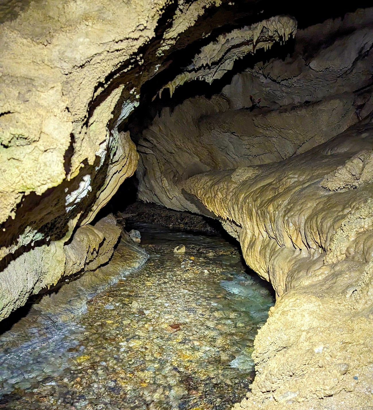 River Styx Cave passage lined with cave formations follows the River Styx as it bends out of sight.