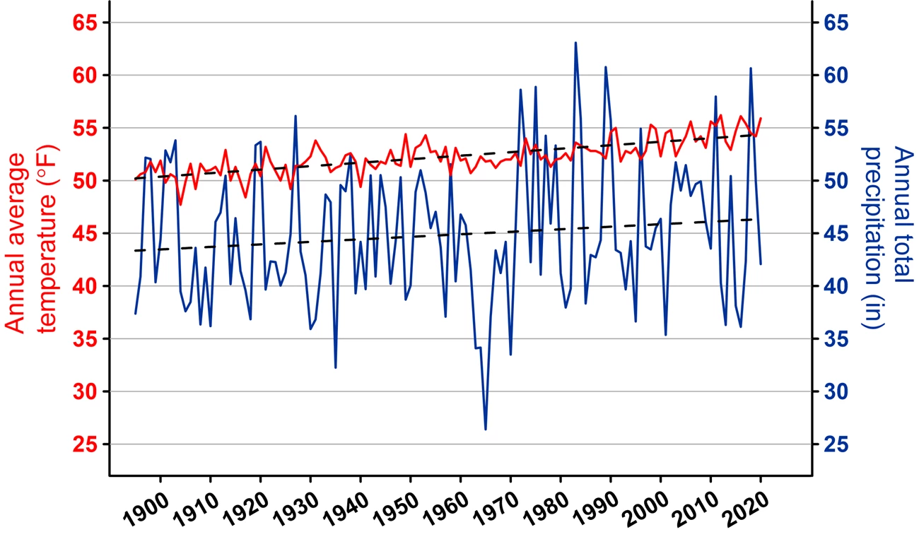 line graph on precipitation and temperature trends for SAHI in 2020