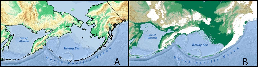 Beringia today and at the last glacial maximum.