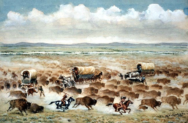 Stampedeing Buffalo by William Henry Jackson A watercoloring painting depicts stampedeing bison being chased by Native people on horseback and surrounding three covered wagons.
