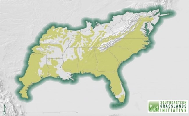 Map of southeastern grasslands stretching from Pennsylvania down to Florida and west through Kentucky, Arkansas, and part of Texas