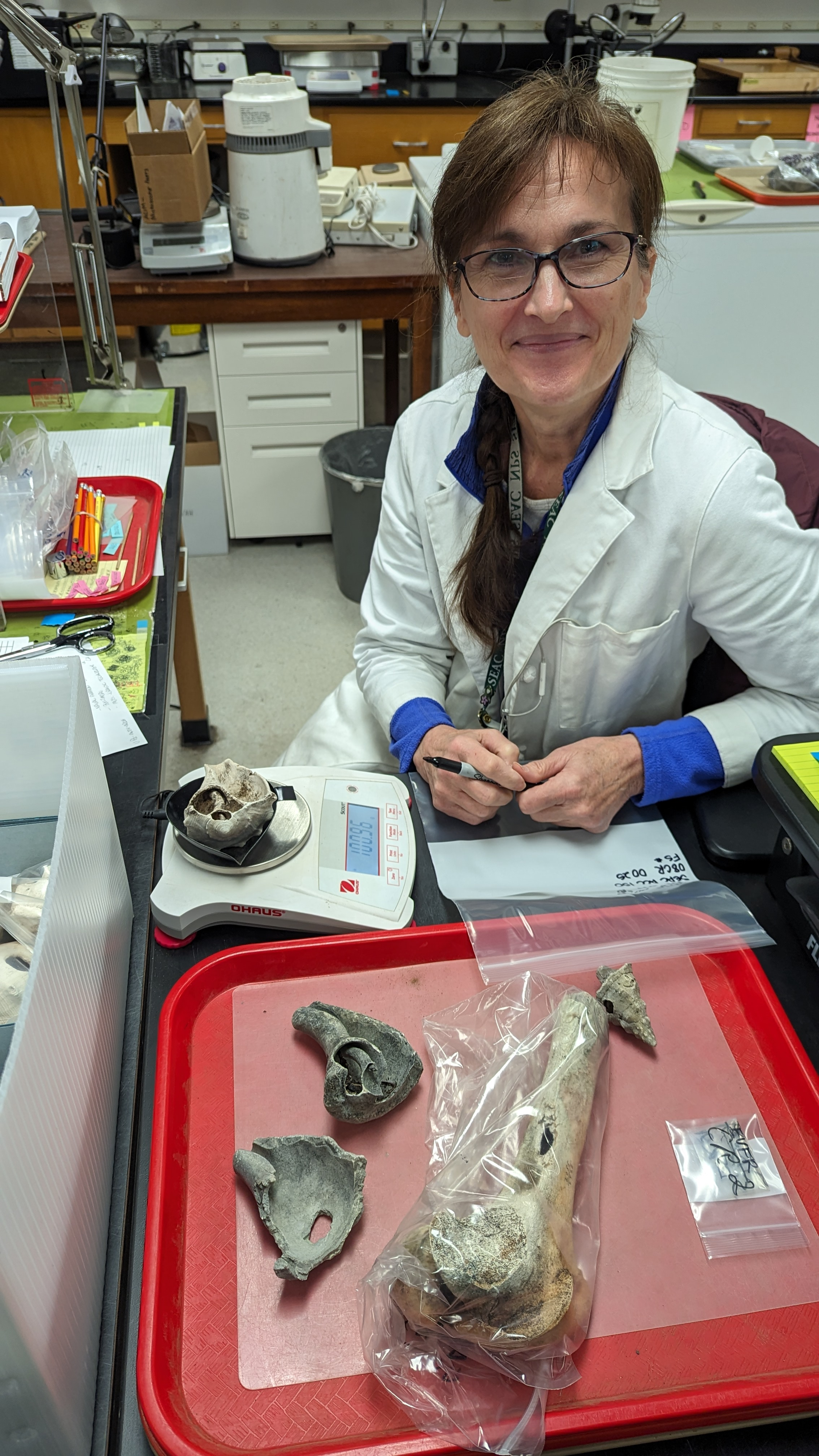 A seated, smiling archaeological technician poses behind her work featuring a variety of items, one of which is being weighed.