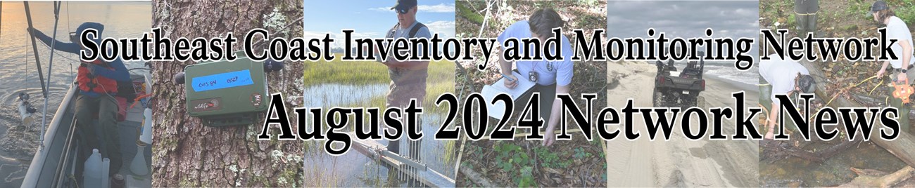 Southeast Coast Inventory and Monitoring Network August 2024 Network News on a background of fieldwork photos