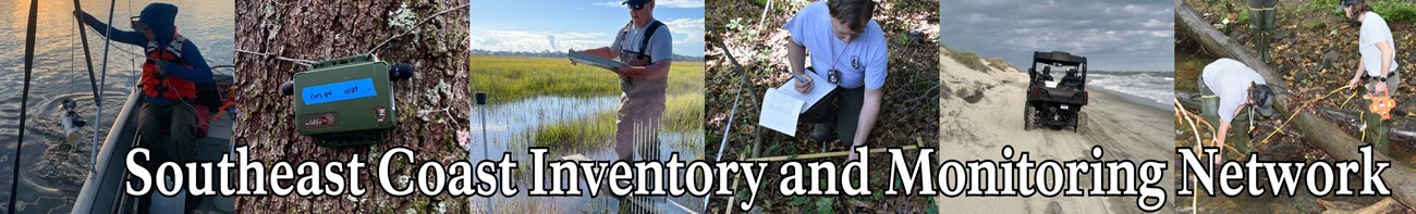 Collage of monitoring photos behind Southeast Coast Inventory and Monitoring Network