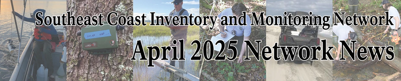 Southeast Coast Network News April 2025 collage of fieldwork pictures