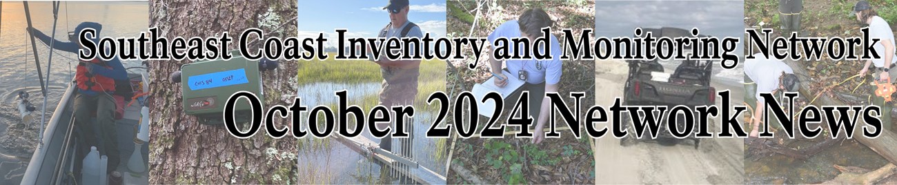 SECN Newsletter October 2024 Collage of fieldwork photos behind October 2024 Network News header
