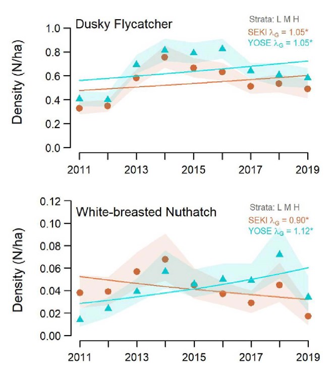 Upper graph shows increases in density for Dusky Flycatcher for both parks between 2011-2019, and the lower graph shows decreasing trends for White-breasted Nuthatch in Sequoia & Kings Canyon and decreasing trends in Yosemite for 2011-2019.