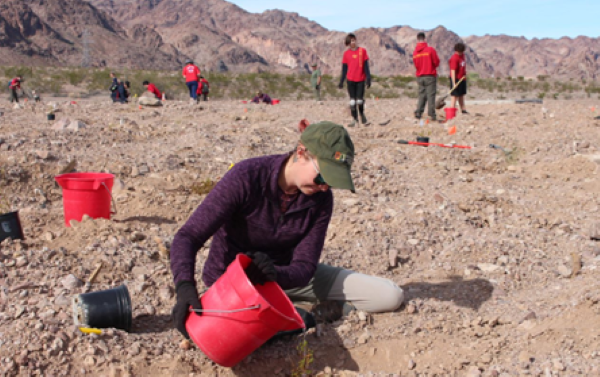 A volunteer holds a red bucket tipped over a young plant; water is pouring out. Several volunteers are in the background tending to plants.