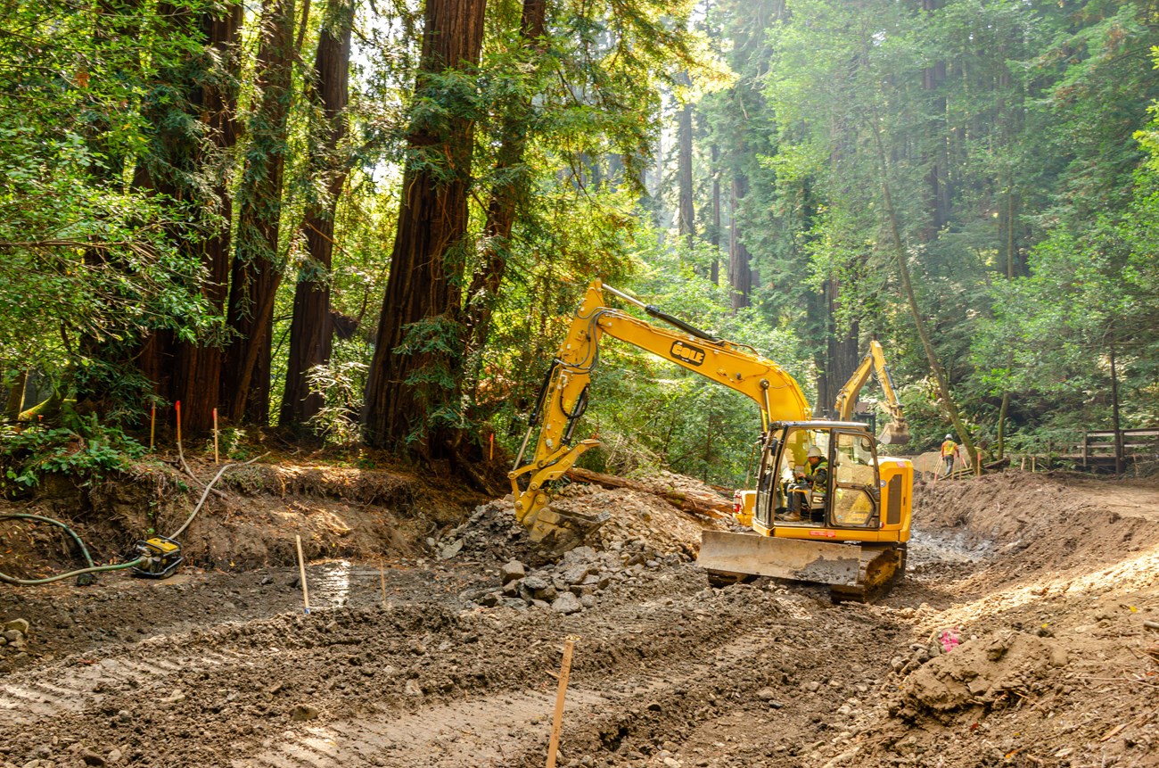 Excavator in the dry creek bed, between towering redwood trees and a trail, moving rocks and soil.