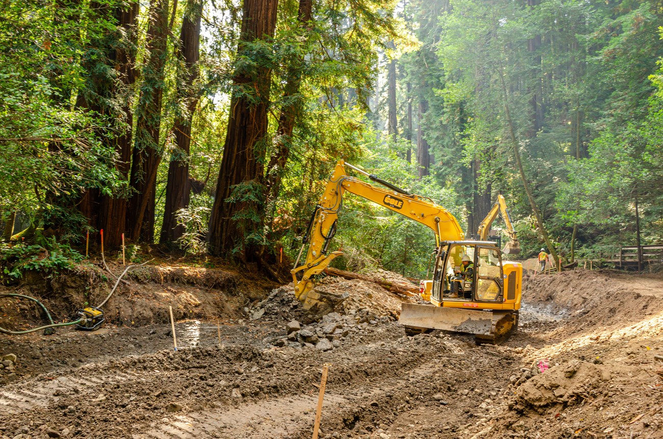 Heavy machinery in Muir Woods Excavator in the dry creek bed, between towering redwood trees and a trail, moving rocks and soil.