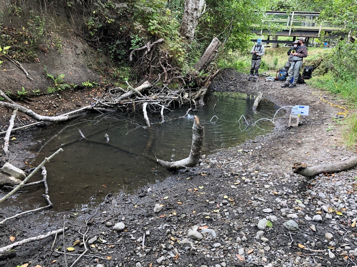 Small pool of water in an otherwise dry creek bed. An aerator pumps air into the middle of the pool as fisheries crew members prepare equipment for catching and relocating the pool's fish.