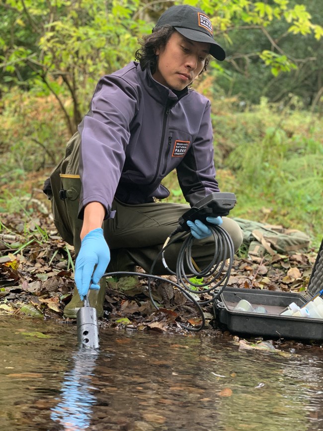 Alex taking water quality readings Person crouching by a stream, holding an instrument in the water, and checking its readings on a connected, hand-held device.