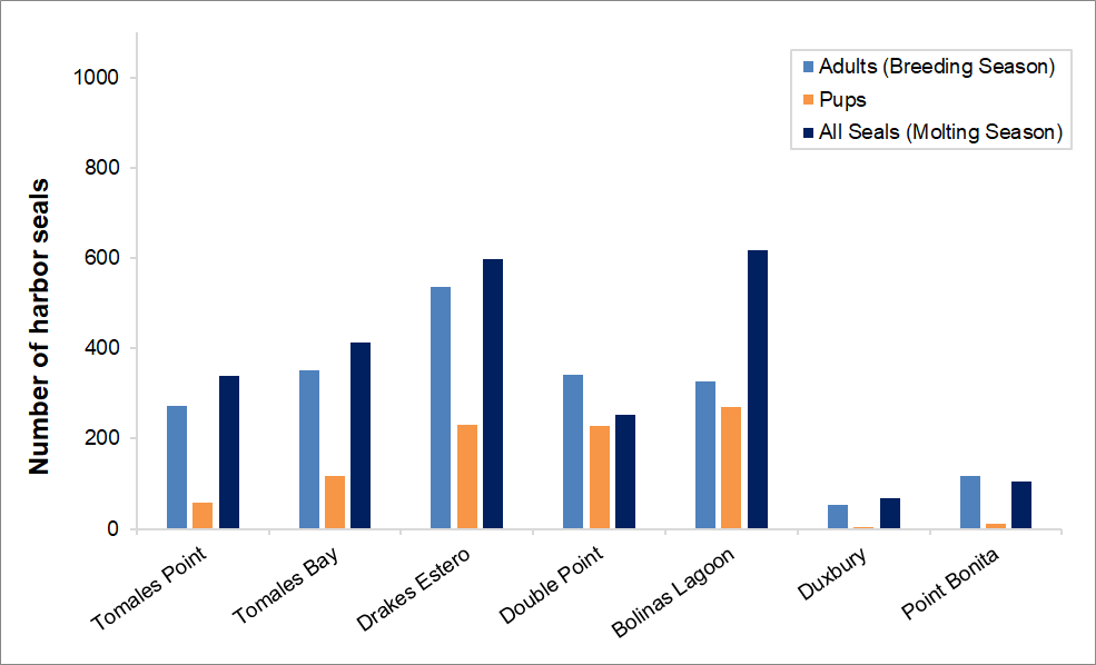 Bar graph showing the maximum harbor seal counts by site. Drakes Estero has the highest number of adults during the breeding season. Bolinas Lagoon has the highest number of pups during the breeding season and total seals during the molt season.