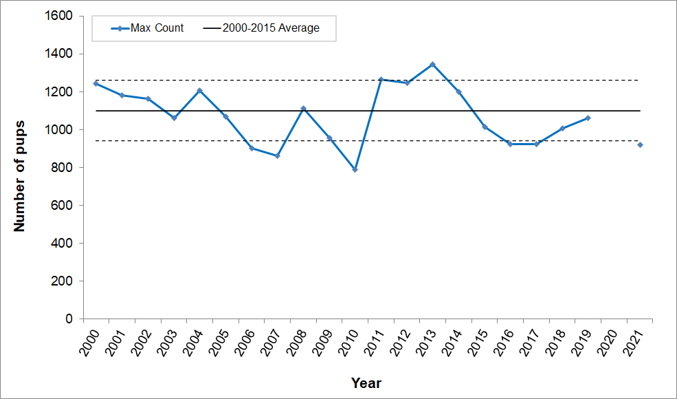 Max pup counts Line graph of maximum harbor seal pup counts for 2000-2021. Pup counts have remained fairly steady. The lowest count was in 2010. The highest was in 2013. This year's count is just below one standard deviation below the mean. There is no point for 2020.