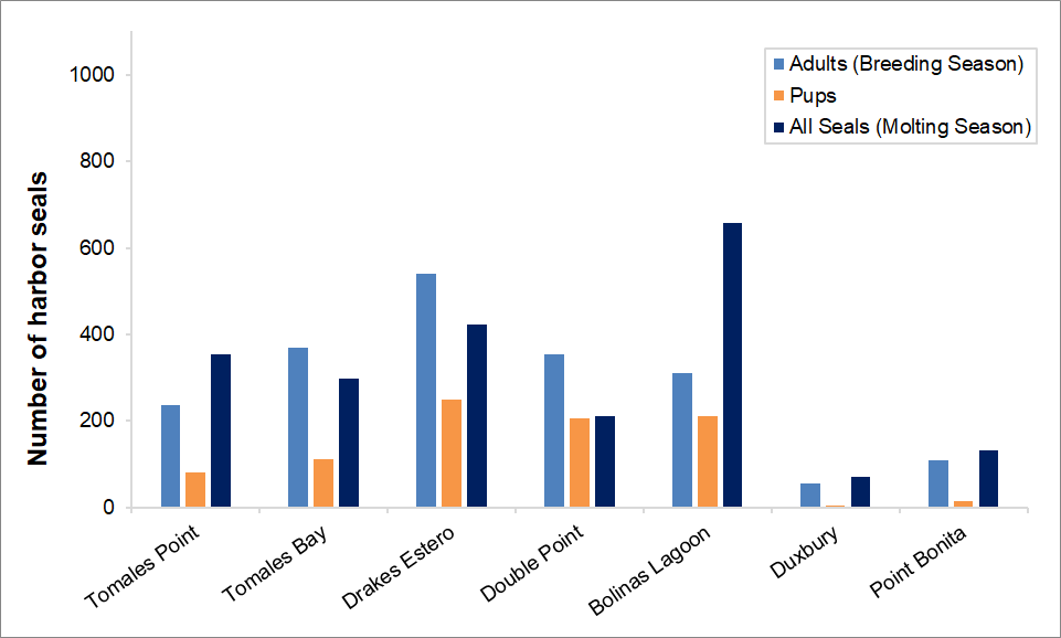 Maximum harbor seal count by monitoring site Bar graph of maximum harbor seal counts at Tomales Point, Tomales Bay, Drakes Estero, Double Point, Bolinas Lagoon, Duxbury, and Point Bonita. Drakes Estero has the highest breeding season numbers. Bolinas Lagoon has the highest molting season total.