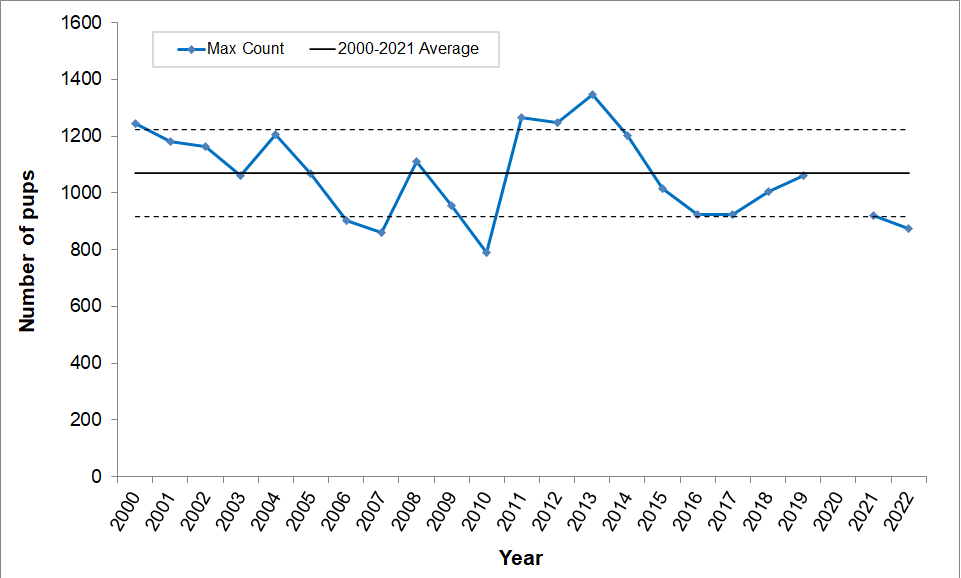 Maximum Harbor Seal Pup Counts, 2000-2022 Line graph showing maximum harbor seal pup counts for 2000-2022. Pup counts have remained fairly steady between one standard deviation around the mean. This year's count is slightly below one standard deviation below the mean.