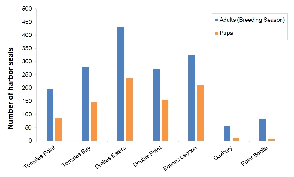 Maximum 2025 harbor seal counts by monitoring site Bar graph of maximum harbor seal counts at Tomales Point, Tomales Bay, Drakes Estero, Double Point, Bolinas Lagoon, Duxbury, and Point Bonita. Drakes Estero has the highest breeding season adult and pup numbers, followed by Bolinas Lagoon.