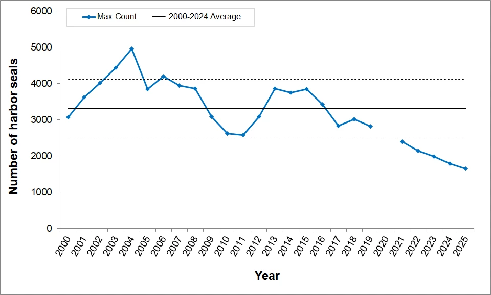 Maximum Harbor Seal Molt Counts, 2000-2025 Line graph of maximum harbor seal molt season counts for 2000-2024. Through 2019, most years are within one standard deviation of the mean. 2021 was a record low, just below one standard deviation from the mean. Counts have steadily declined since then.