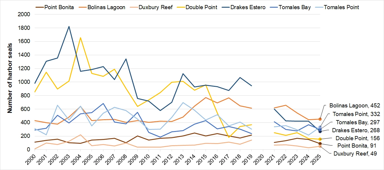 Maximum Harbor Seal Molt Counts by Site, 2000-2025 Line graph of harbor seal pup counts at 7 sites. Duxbury Reef has the lowest counts (49 in 2025). Bolinas Lagoon has the highest 2025 molt count (452), although in most prior to 2020 it has been exceeded by one or both of Drakes Estero and Double Point.