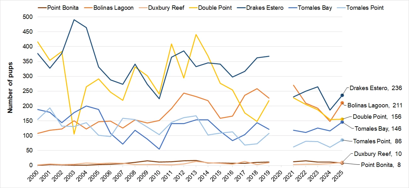 Maximum Harbor Seal Pup Counts by Site, 2000-2025 Line graph of harbor seal pup counts at 7 sites. Pt. Bonita and Duxbury Reef have the lowest, most consistent counts. Drakes Estero and Bolinas Lagoon have the highest, rebounding somewhat from lows last year.