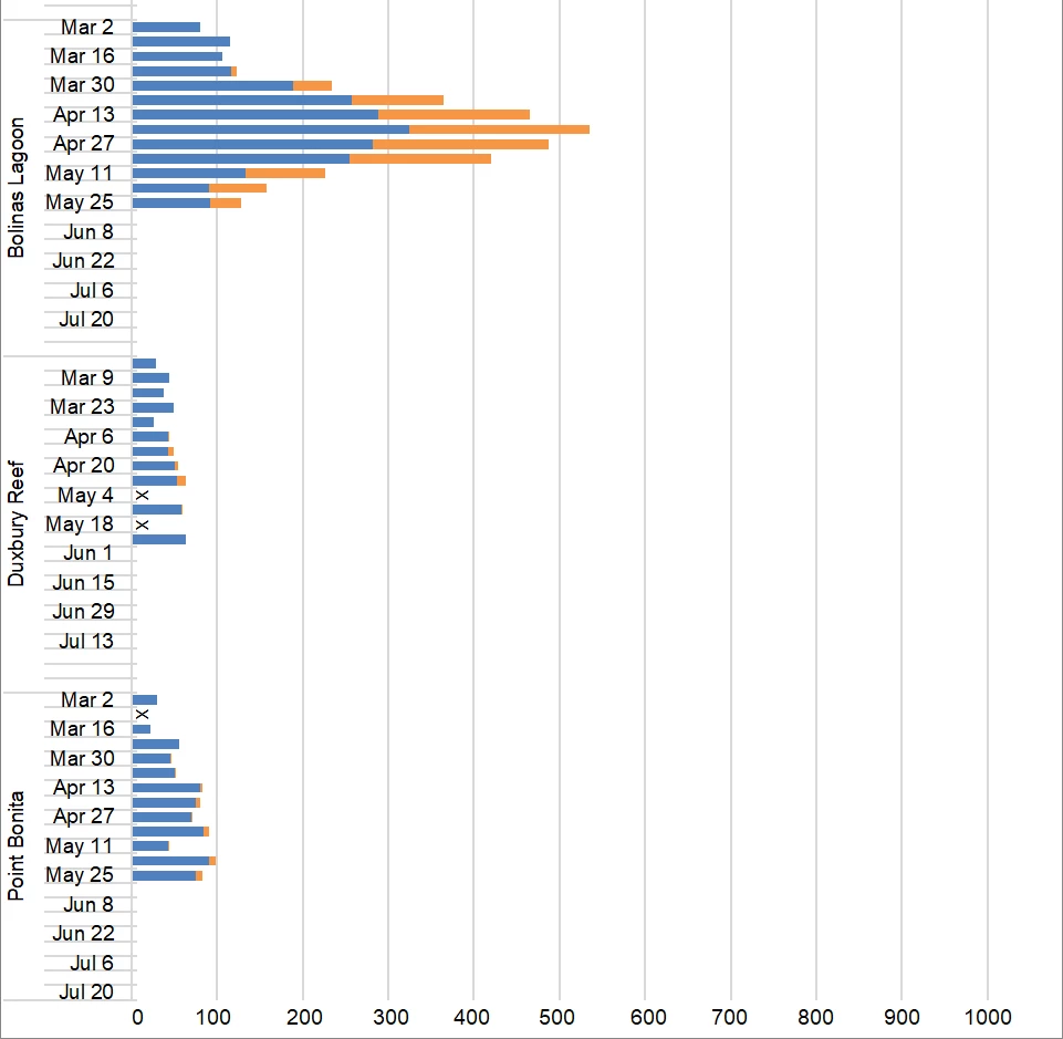 2025 maximum weekly harbor seal counts Graph of maximum harbor seal counts by site (Bolinas Lagoon, Duxbury Reef, Point Bonita) and survey week from late February through May.