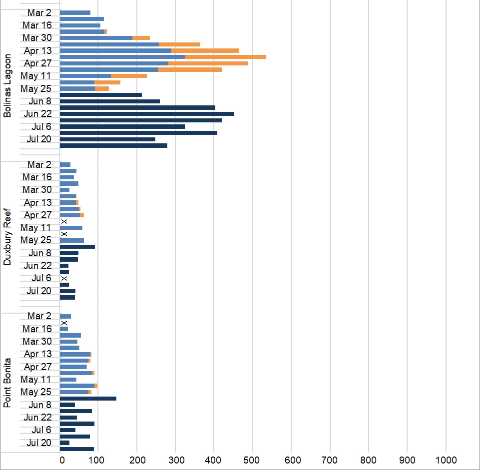2025 maximum weekly harbor seal counts by site and survey week Graph of maximum harbor seal counts by site (Tomales Point, Tomales Bay, Drakes Estero) and survey week from late February through May.