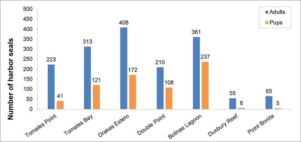 Bar graph of maximum harbor seal counts at Tomales Point, Tomales Bay, Drakes Estero, Double Point, Bolinas Lagoon, Duxbury, and Point Bonita. Bolinas Lagoon has the highest breeding season adult and pup numbers, followed by Drakes Estero.
