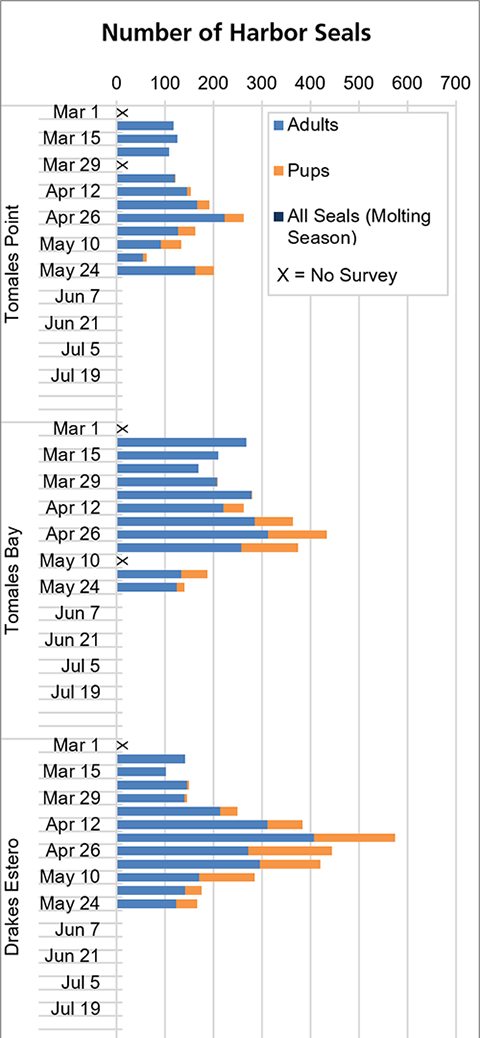Graph of maximum harbor seal counts by site (Tomales Point, Tomales Bay, Drakes Estero, Double Point) and survey week from late February through May.