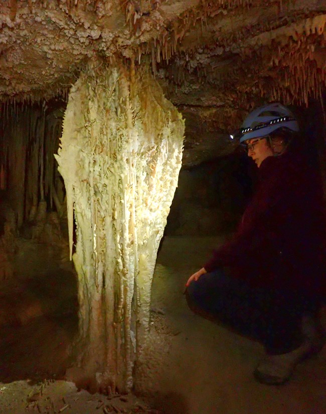 A Geoscientist-in-the-Park looks at one of the more than 500 cave shields in Lehman Caves.