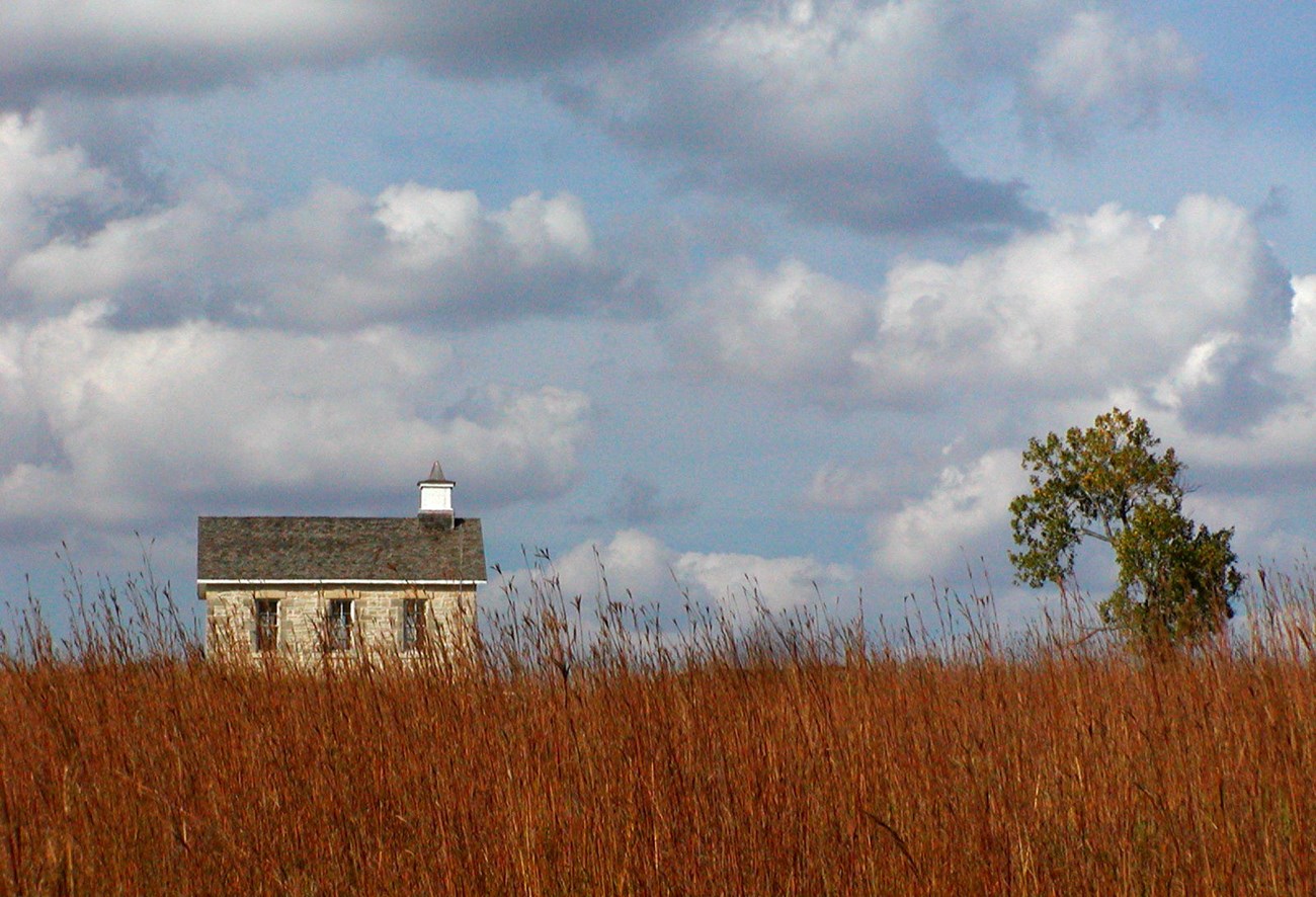 Lower Fox Creek Schoolhouse and cottonwood tree against sky and clouds Lower Fox Creek Schoolhouse and cottonwood tree against sky and clouds
