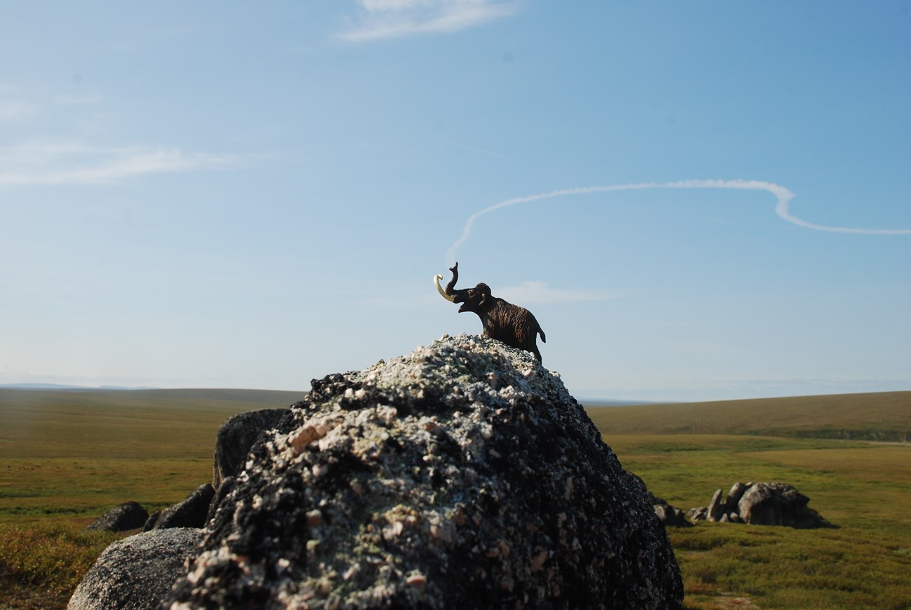 Martin the Mammoth is perched on a rock surrounded by a vast green landscape. Wispy clouds travel across a big blue sky.