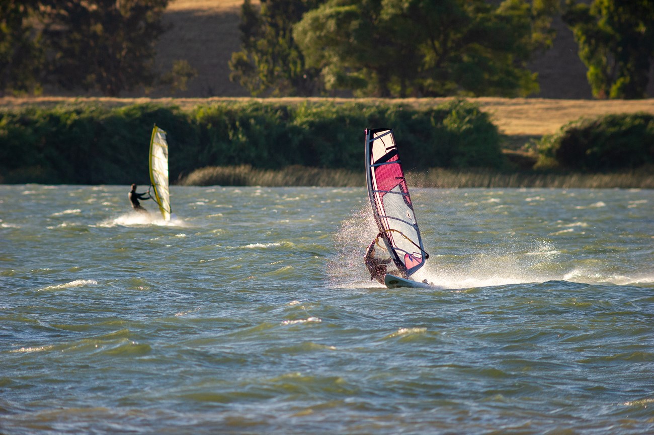 Two windsurfers skimming across river. Greenery and shore in background