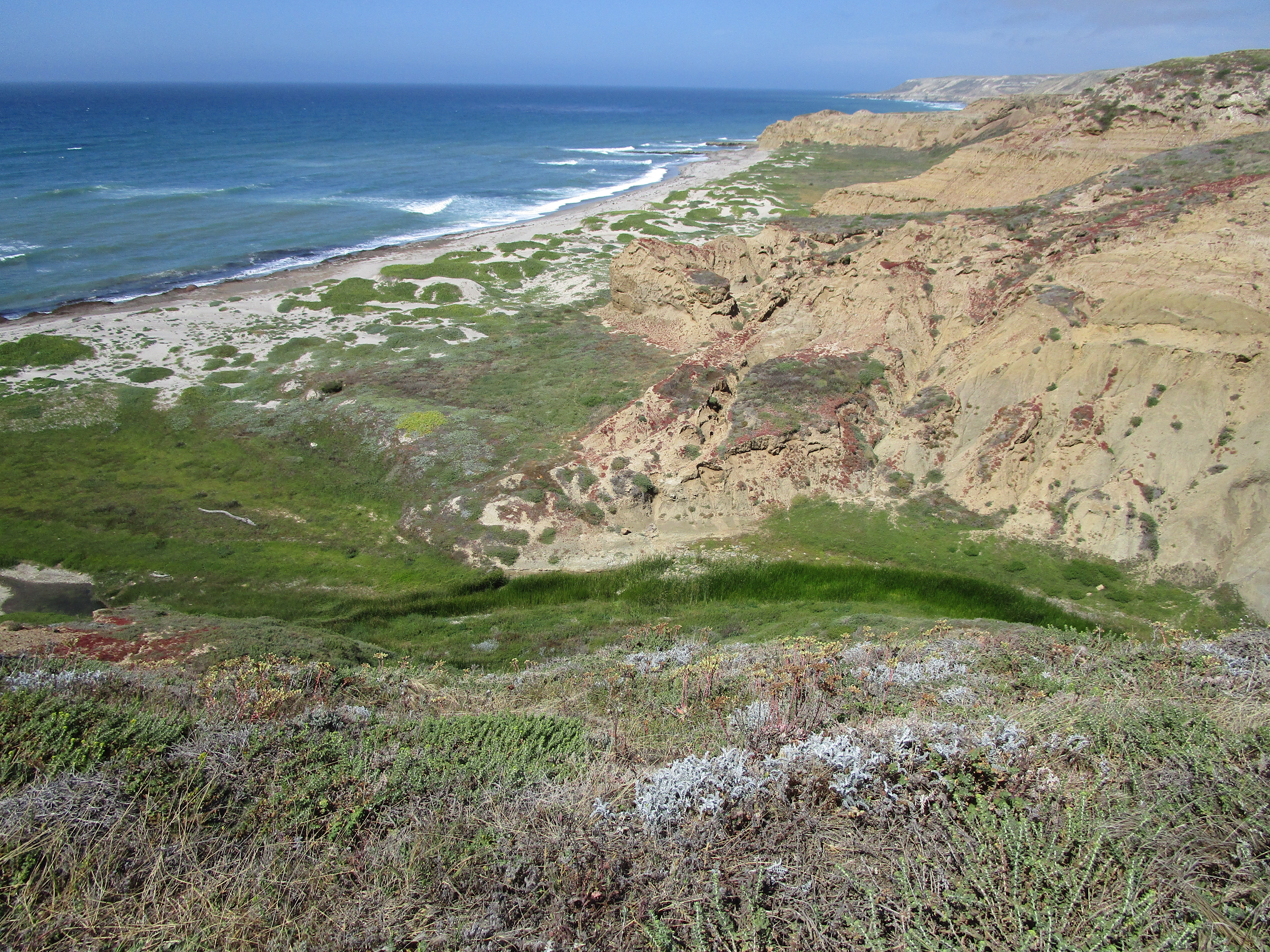 desert island and sandy shoreline