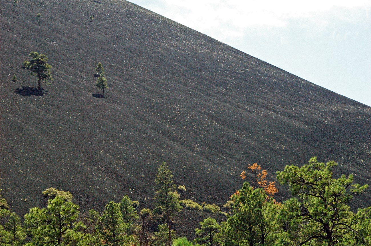 cinder slope on volcanic cone