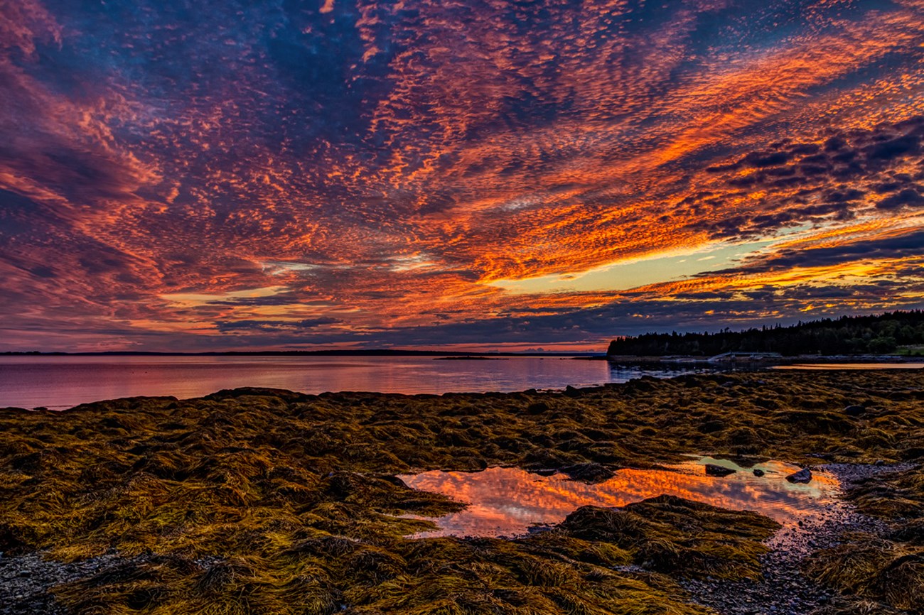 Landscape photo of sunrise along shoreline with light reflecting in a tidepool in foreground and sky filled with orange, yellow, and purple clouds