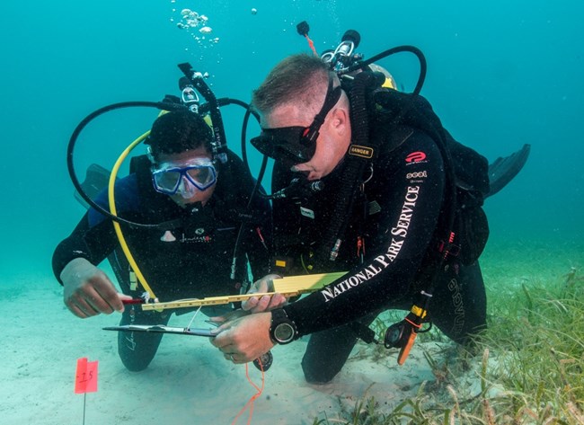 Two divers Two divers