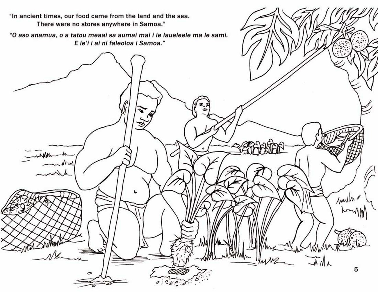 Page 5 Three people gather food