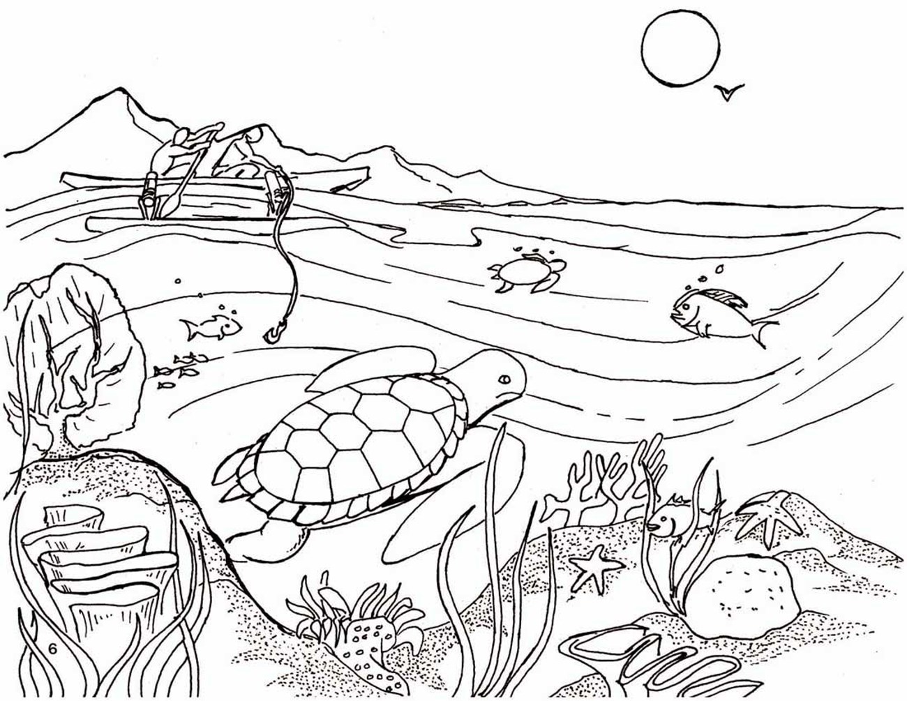 Page 6 Two fish on the left and turtles and fish swim in the water beneath it.