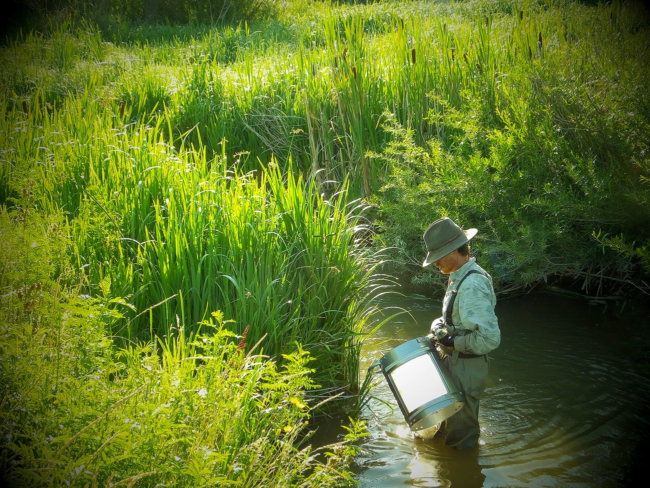 Man holds a Hess sampler as he stands in the Niobrara River surrounded by green vegetation