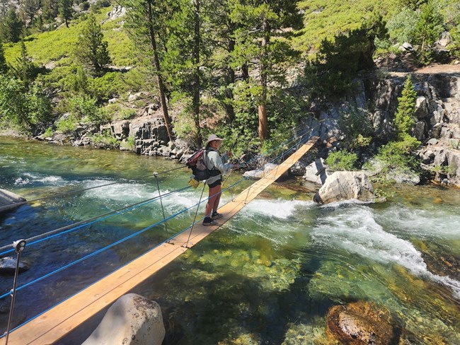 A PCT thru-hiker walks across a temporary bridge built from narrow pieces of wood and guide wires. A hiker crosses the San Joaquin Bridge, positioned over a tranquil flowing creek.