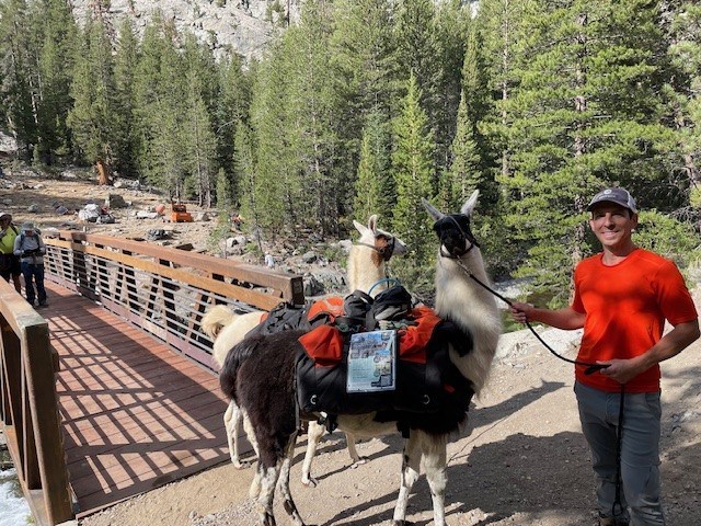 Trail hiker stands with a pack llama at the San Joaquin Bridge. A pack llama loaded with with gear stands with its handler in front of the completed San Joaquin Bridge.