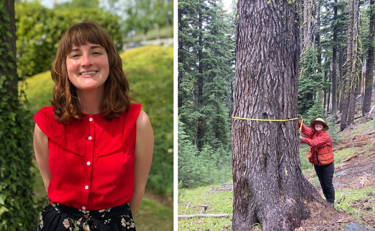 Smiling face of young woman (left) and the woman measuring the diameter of a large tree (right).