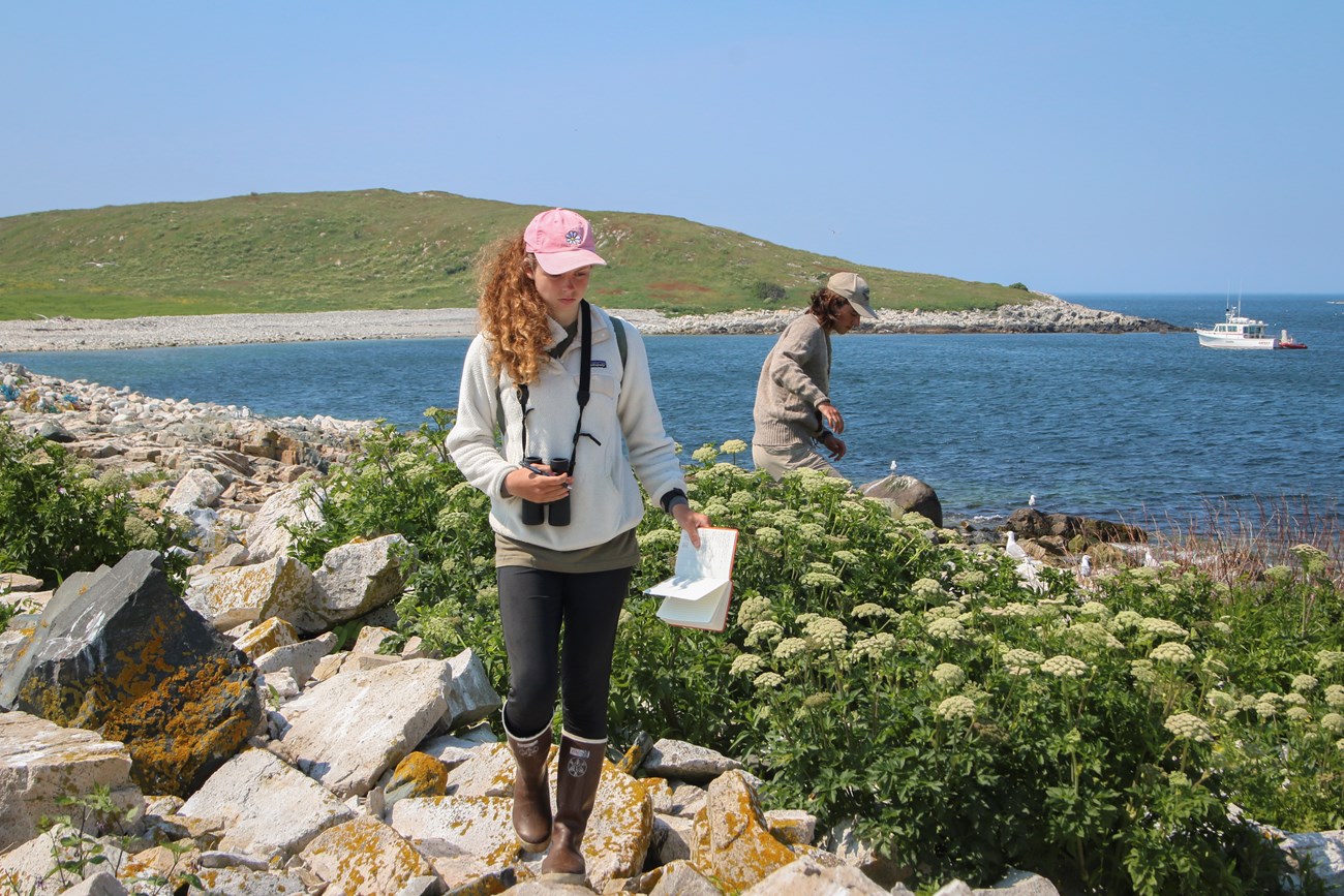 Research students survey a coastal island. Two research students survey a coastal island.