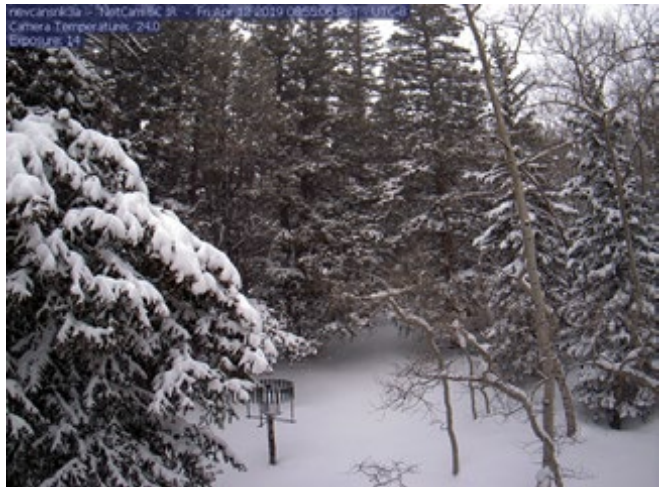 Photo of Wheeler Peak Snotel Site, taken April 12, 2019. Photo of a very snowy forest
