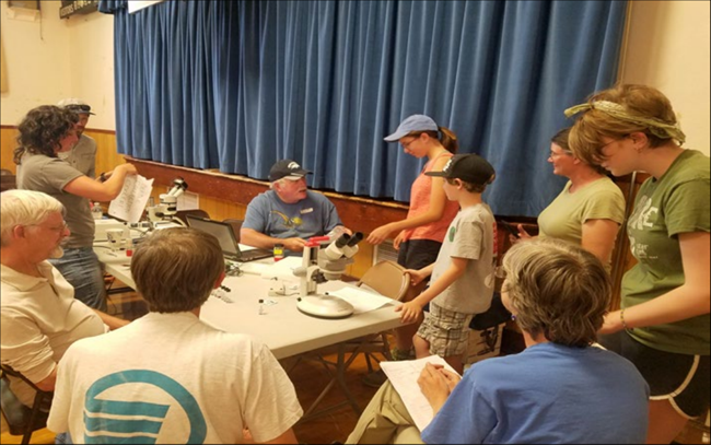 Bioblitz participants surround a table discussing the beetles that were found.