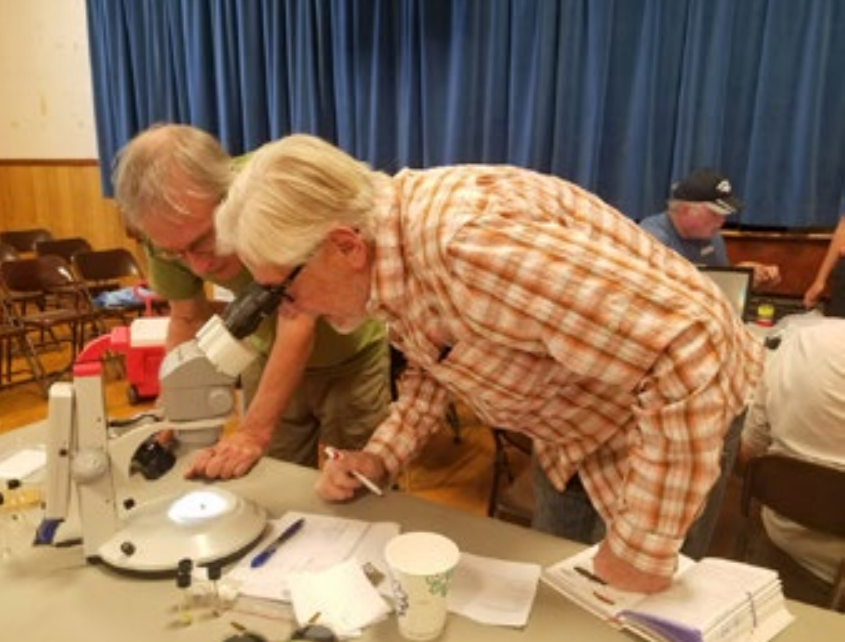 Participants looking in a microscope Two participants looking in a microscope to see their finds better!