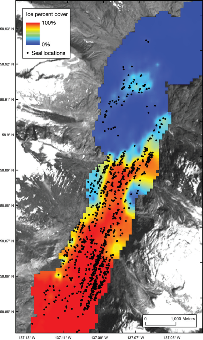 Map showing harbor seal locations and percent ice cover in Johns Hopkins Inlet in Glacier Bay National Park. Map showing harbor seal locations and percent ice cover in Johns Hopkins Inlet in Glacier Bay National Park.